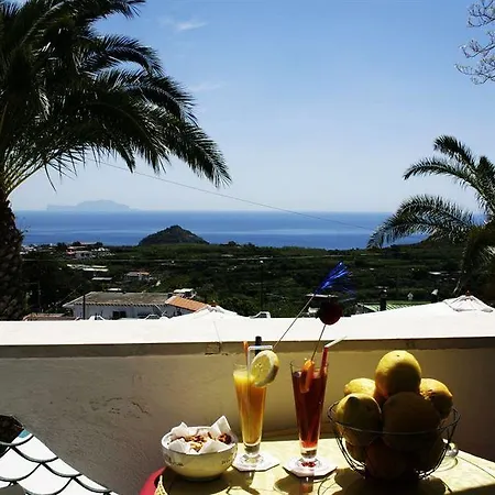 Al Bosco Forio di Ischia
